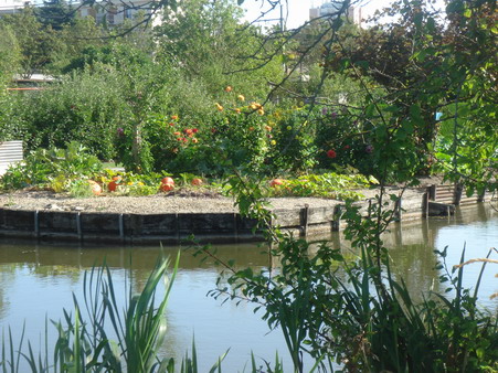 a0247585_616890.jpg