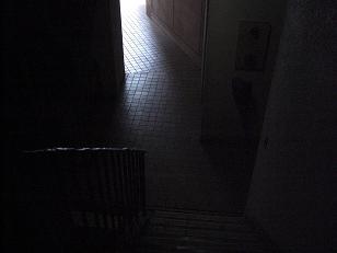 b0159585_1433851.jpg