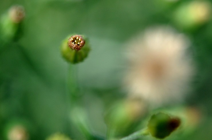 c0246290_2223397.jpg