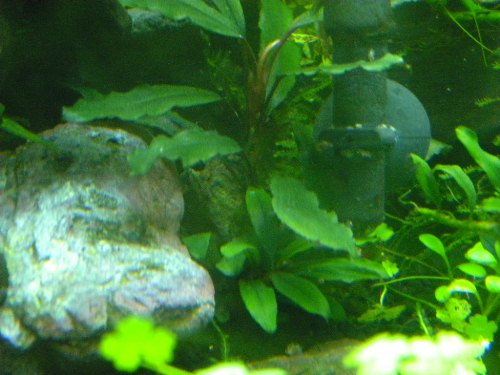 f0138093_0243943.jpg
