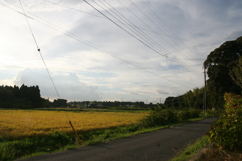 d0100095_17103857.jpg
