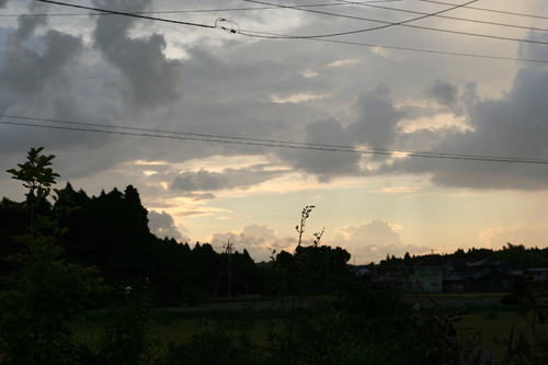 d0100095_17503778.jpg