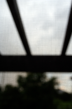 d0100095_17505068.jpg