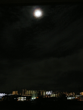a0127296_20143494.jpg