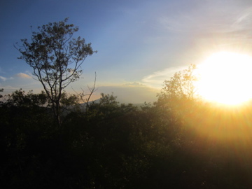 a0117599_1102120.jpg
