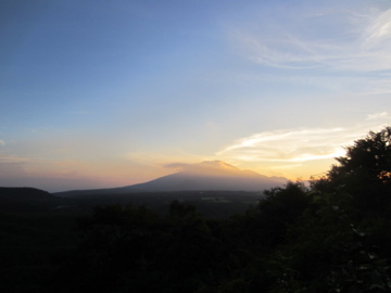 a0117599_1105626.jpg