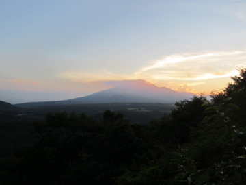 a0117599_1125887.jpg