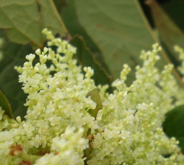 a0031000_1535378.jpg