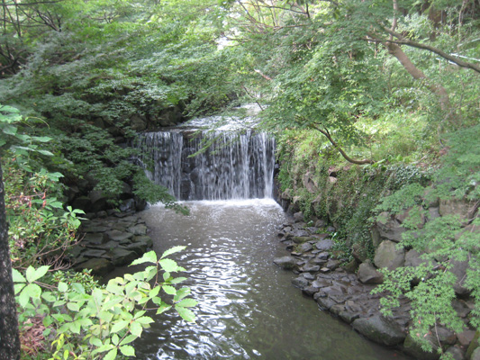 b0097200_1114780.jpg