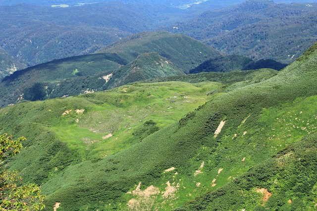 e0137200_19422567.jpg