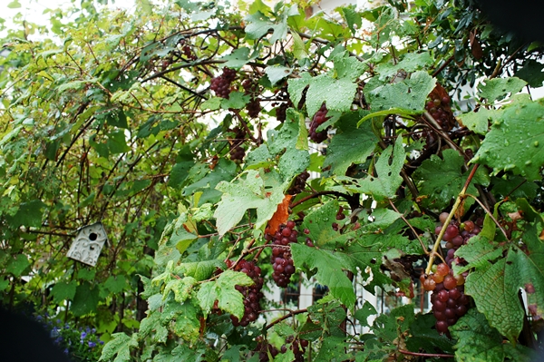 e0277800_19165915.jpg
