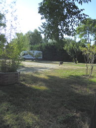 e0206902_15451425.jpg