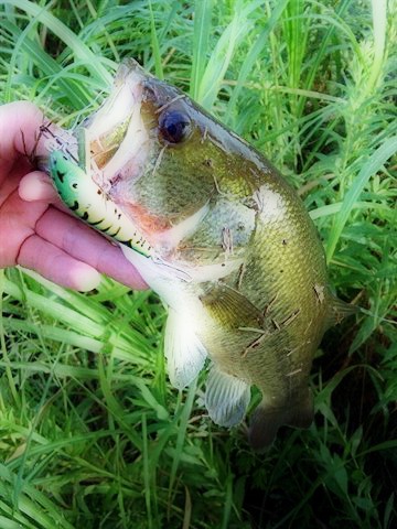 c0023804_1464981.jpg