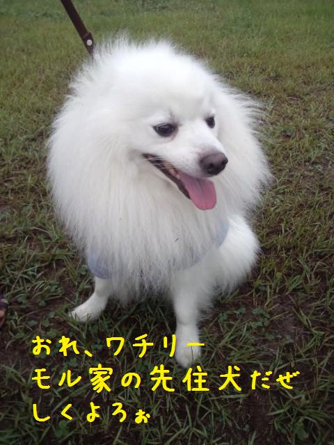 e0246708_21534339.jpg