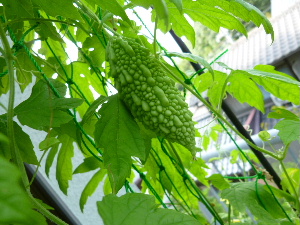 a0157619_2316549.jpg