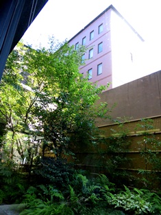 b0209919_22175664.jpg