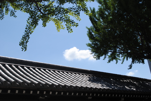 b0209919_947134.jpg