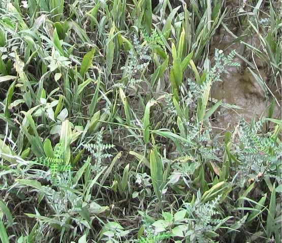 d0187020_12211275.jpg