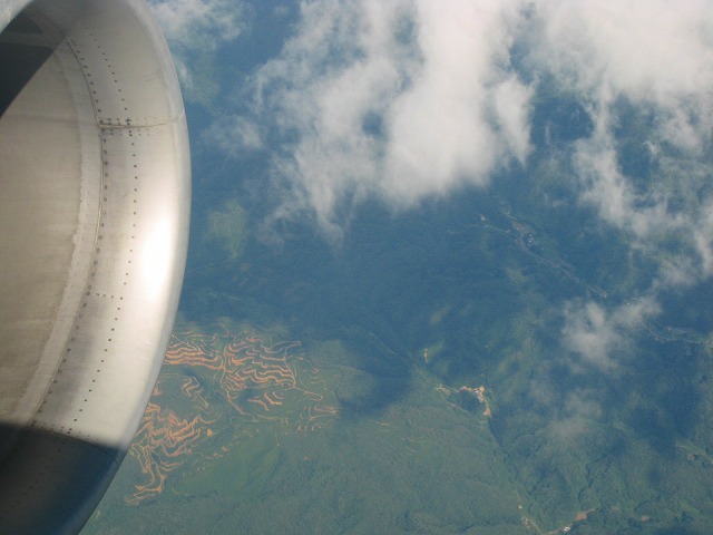 e0002820_17153735.jpg