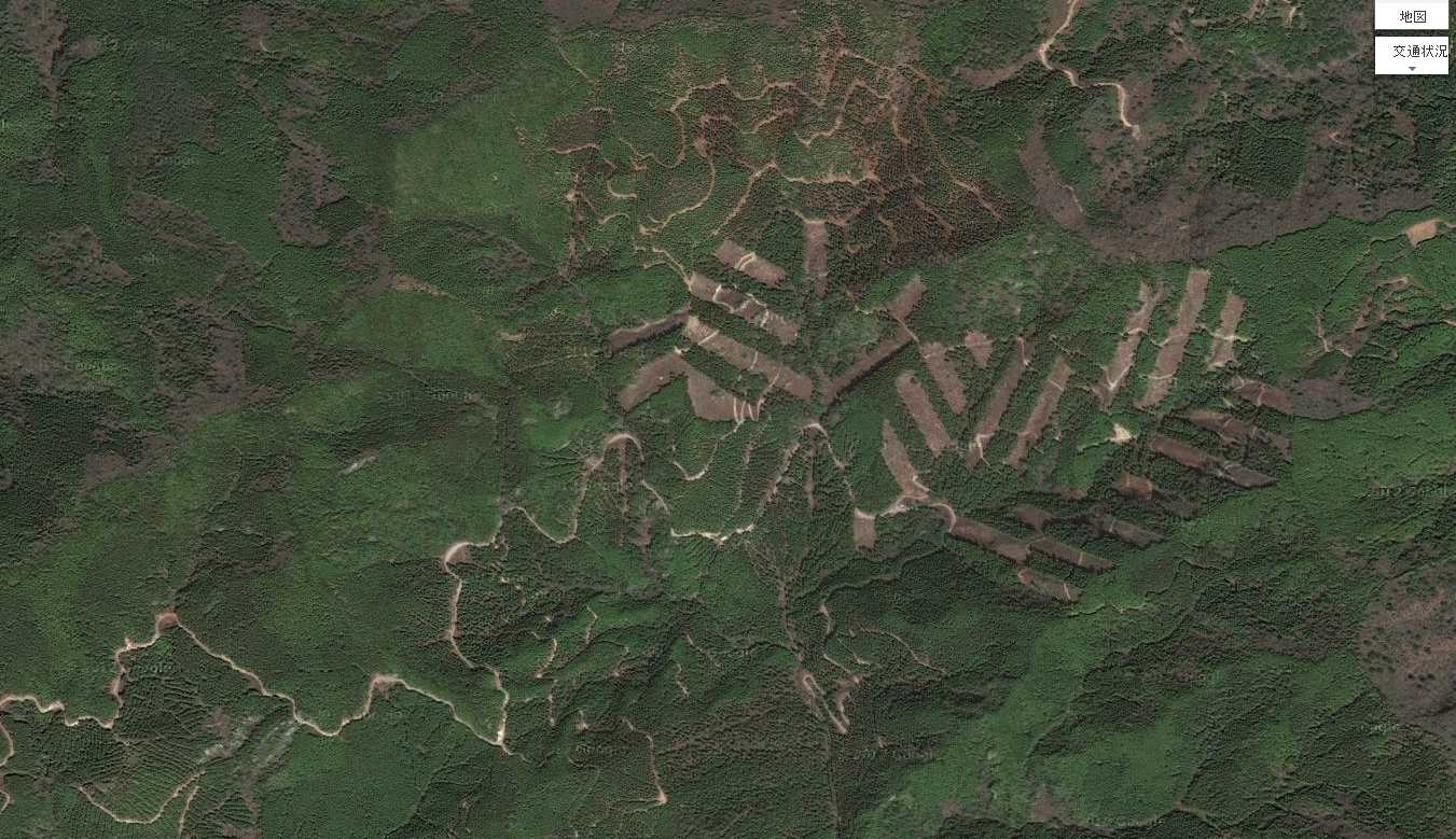 e0002820_17215872.jpg