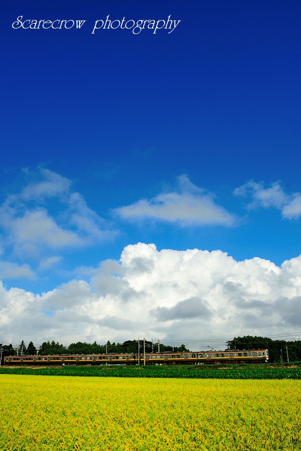 a0255123_1204280.jpg
