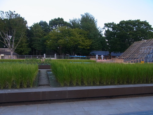 f0108825_13435827.jpg