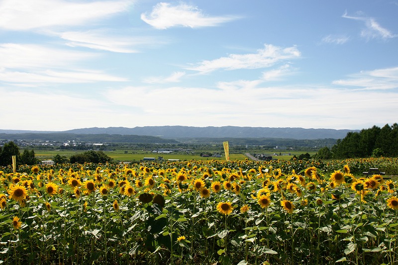 f0046128_22103125.jpg