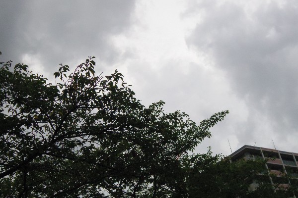 e0103831_18101261.jpg