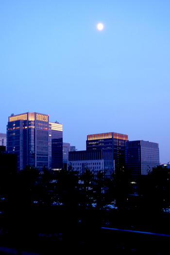 b0035734_17464333.jpg