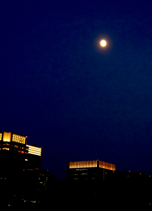b0035734_1751581.jpg