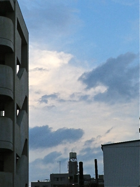 b0027736_1953525.jpg