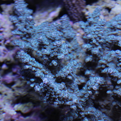 d0221436_20193921.jpg