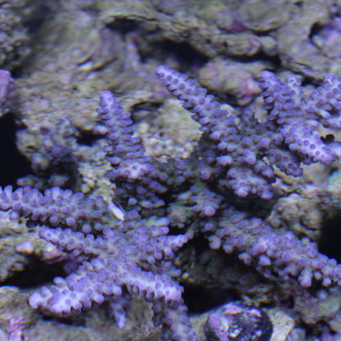 d0221436_20195378.jpg