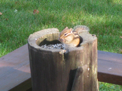 f0141840_0405117.jpg