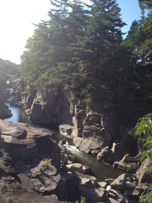 e0080641_2358990.jpg