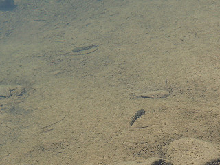 f0065341_13483764.jpg