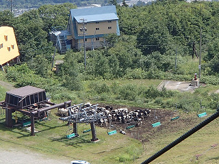 f0065341_13503897.jpg