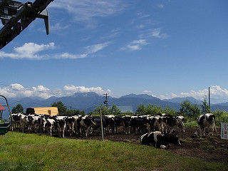 f0065341_13504971.jpg