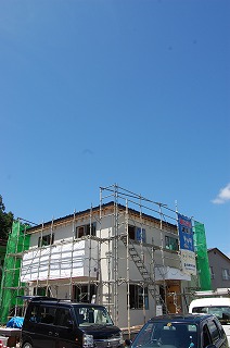 b0082242_1604193.jpg