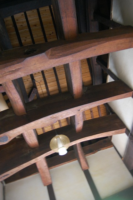 b0082242_167686.jpg
