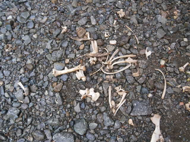 e0121548_21362856.jpg
