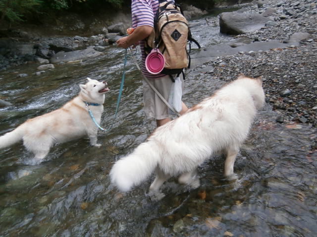 e0121548_2139248.jpg