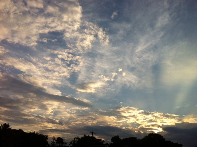 d0021649_21364630.jpg