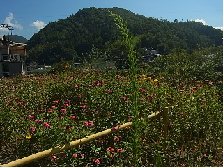 d0063149_21421573.jpg