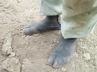 e0150849_005489.jpg