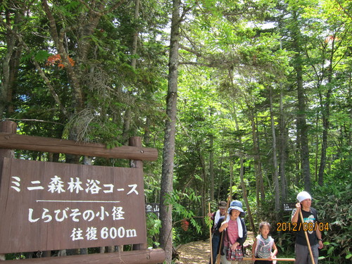 b0148050_15331366.jpg