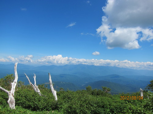b0148050_15485172.jpg