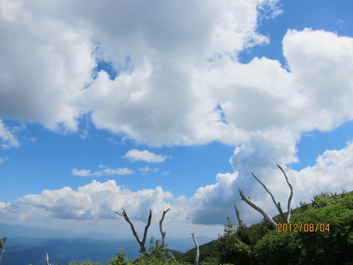 b0148050_15491062.jpg