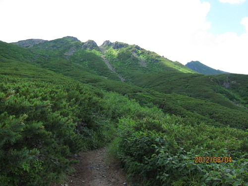 b0148050_15533466.jpg
