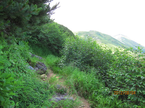 b0148050_15554959.jpg